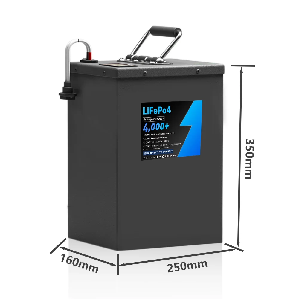 60v 50AH LifePo4 Battery Pack Built in 80A BMS Optional Bluetooth for Electric car electric tricycle with 10A Charger