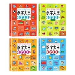 4 kitap 3600 kelime çince karakterler Pinyin Han Zi erken eğitim okuryazarlığı okumak aydınlanma çocuklar yaşlı 3-8 yıl