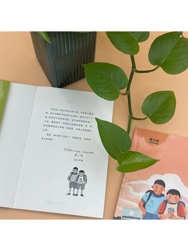 كتاب-Winshare The Clumsy Iron Brother Jia Li's Childhood