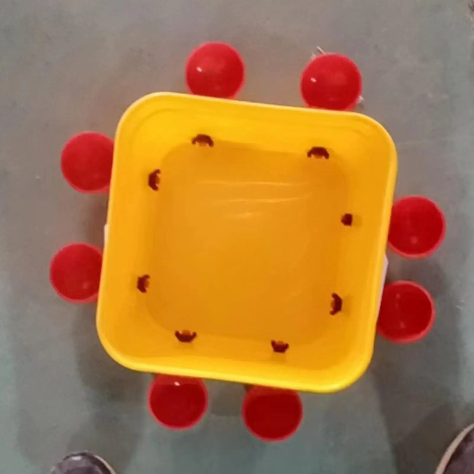 Chicken Drinker Waterer Cup Durable Drinking Bowl for Birds Chicks Poultry