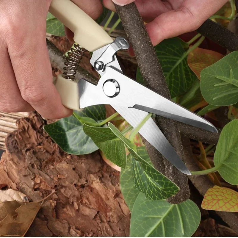 Edelstahl Schere Blume Cut Anordnung Beschneiden Obst Baum Garten Zweig Schneiden Haushalt Pfropfen Gartenarbeit Schere – Detail 14