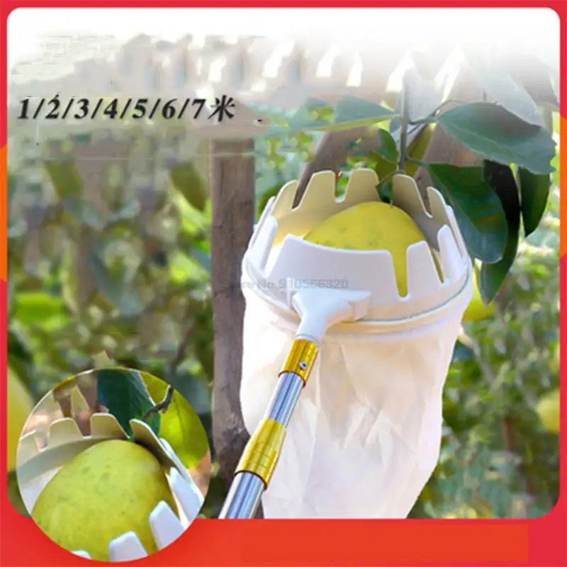 Multifunctional Fruit Picking Device for Apples, Dates and Persimmons