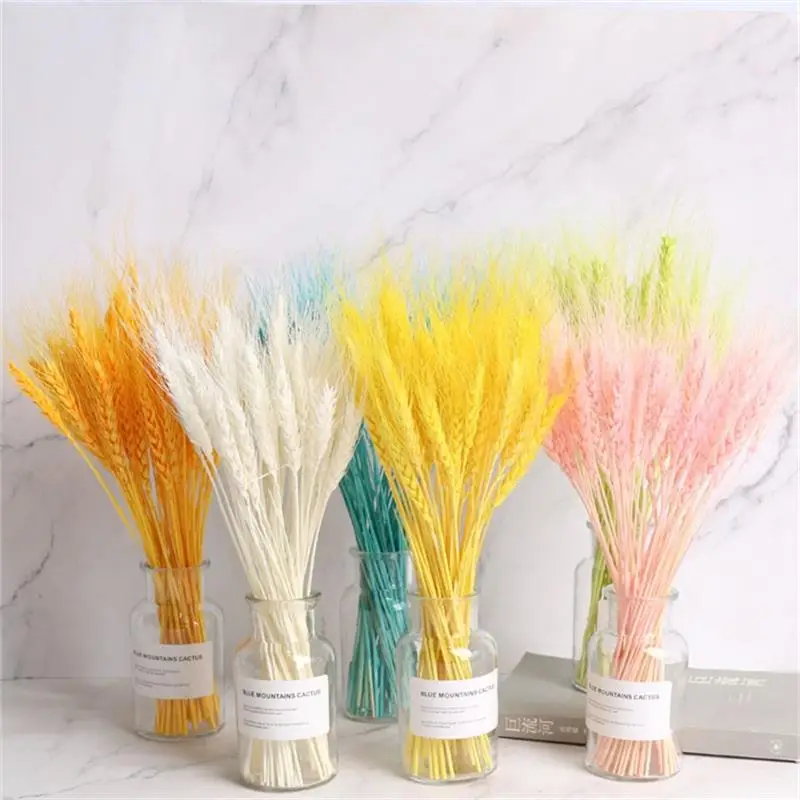 

Real Wheat Ear Flower Natural Dried Flowers Backyard & Garden Cute Decor Festival Wedding Ideas Accessories