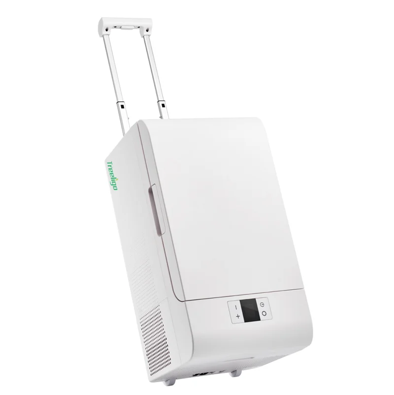 20L Portable Car And Home Compressor Car Refrigerator For DC12V 24V White Power ABS Cooling Temperature Origin
