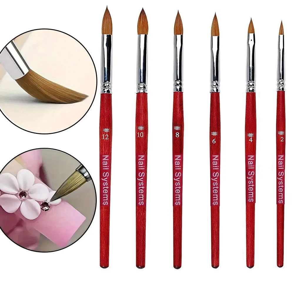

Size#2/4/6/8/10/12 Kolinsky Acrylic Nail Brush Oval Crimped Wood Handle Nail Brushes Professional Acrylic Application Brushes