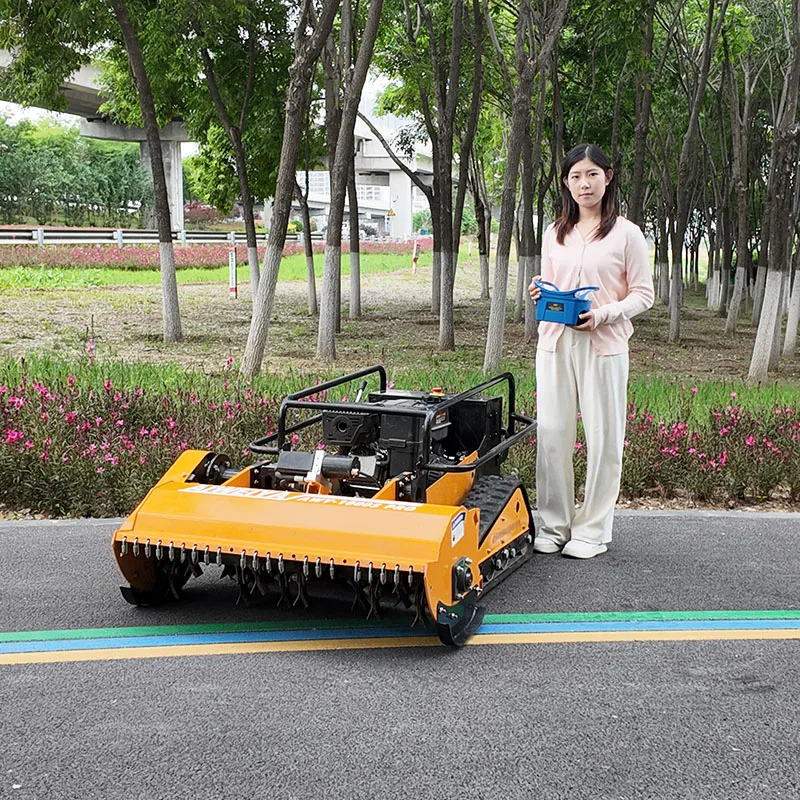 

Customized Large Grass Bag Petrol Lawn Mower Less Frequent Cleaning Lawn Mower With Detachable Collection Box