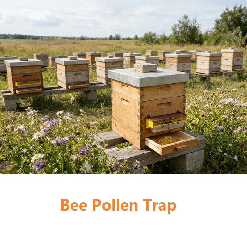 Plastic Bee Pollen Trap with Ventilated Removable Pollen Tray Collect Bee Hive Pollen Collector Harvest Beekeeping Tools