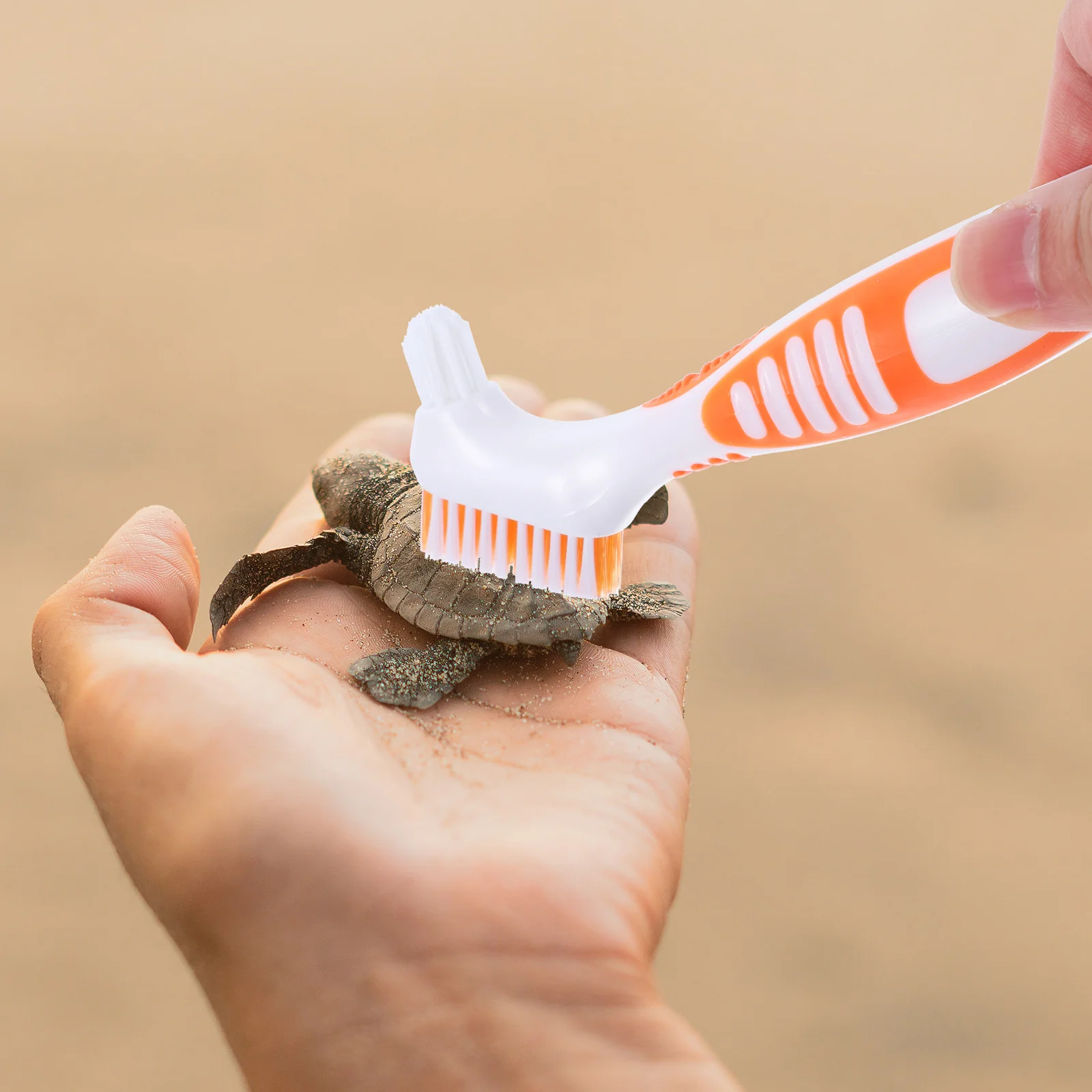 Turtle Shell Cleaning Brush Double-Sided Mini Portable Multi-Functional Aquatic Tortoise Mud Remover Tool For Pet Care Household