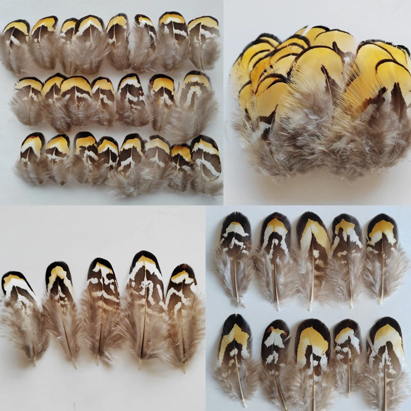 200Pcs/lot! 4-9cm Long Natural Yellow Reeves Pheasant Feathers for Fly Tying, Millinery,Jewelry Making,Cheap Feathers