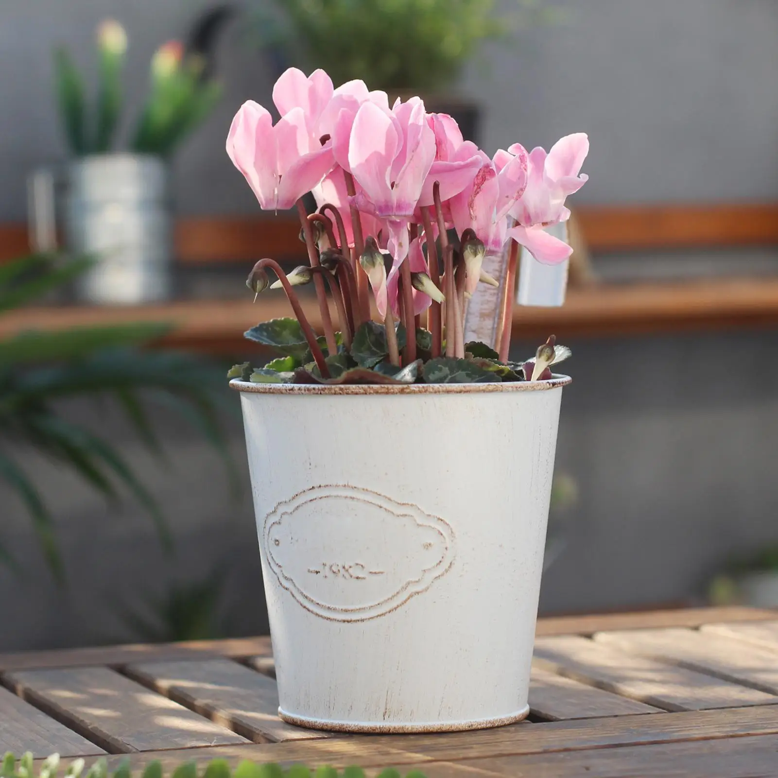 Fence Planters 4 Pieces Plant Holder With Detachable Hook Drainage Holes Fence Planter Flower Buckets For Patio Yard Garden