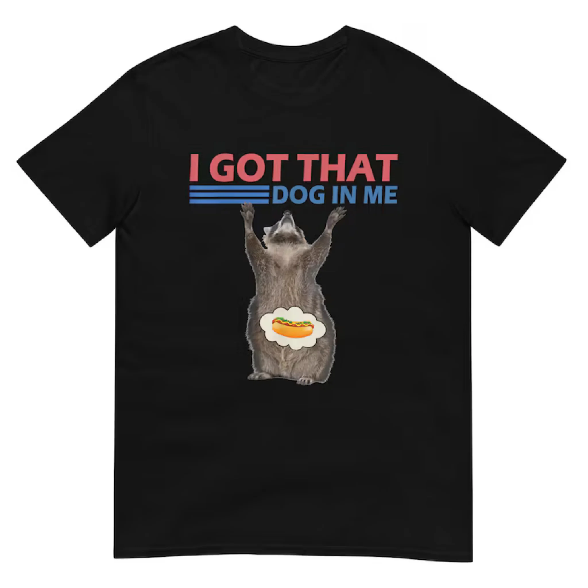 Women Short Sleeve T Shirt I Got That Dog In Me Raccoon Hot Dog Funny Slogan Graphic Casual Tee