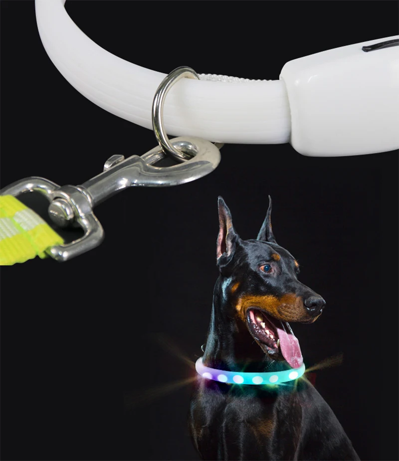 Collare per cani a LED scolorito con ricarica USB Collare luminoso di sicurezza notturno con luce fredda per cani Collana luminosa media di razza