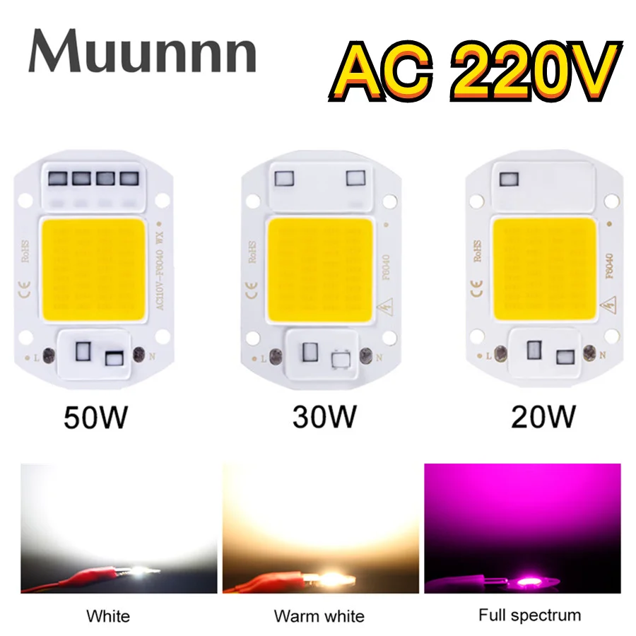 LED COB lamp Bead 20W 30W 50W AC 220V 240V IP65 Smart IC No Need Driver DIY Flood light Led Bulb Spotlight Outdoor Chip Lamp