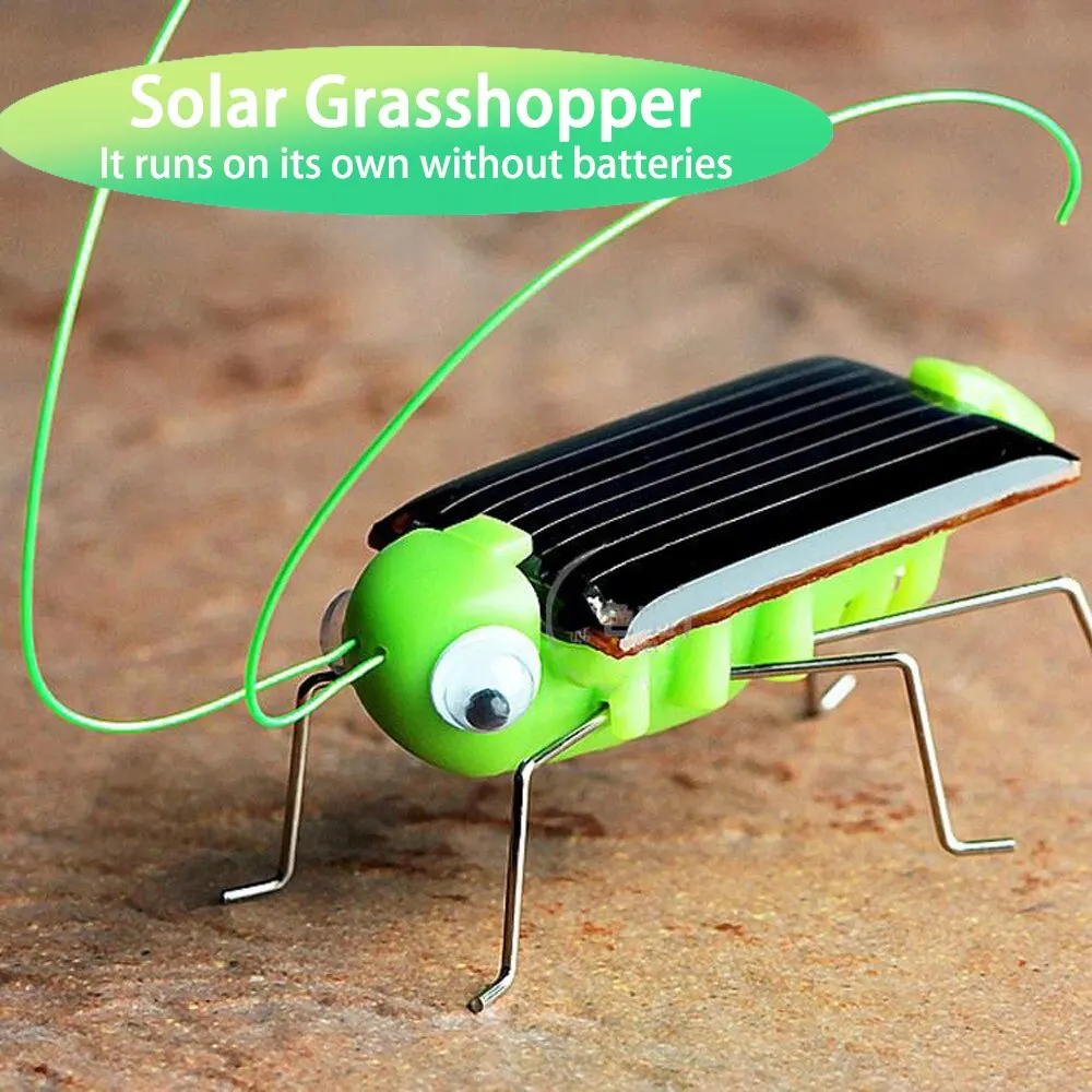 brinquedo-solar-grilos-quebra-cabeca-educativo-para-criancas-presente-divertido-de-simulacao-de-inseto-para-meninos-e-meninas-brinquedo-cientifico-interativo-para-criancas