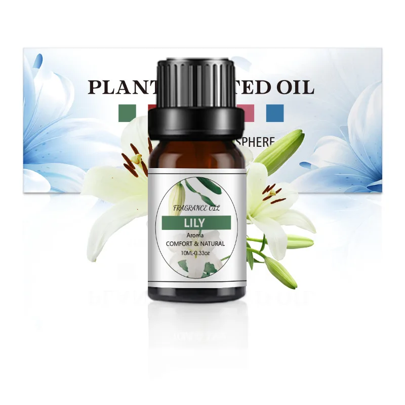Diffuseur d'huiles essentielles pour fabrication de plantes, huile parfumée de 10ML, pour plâtre, sa