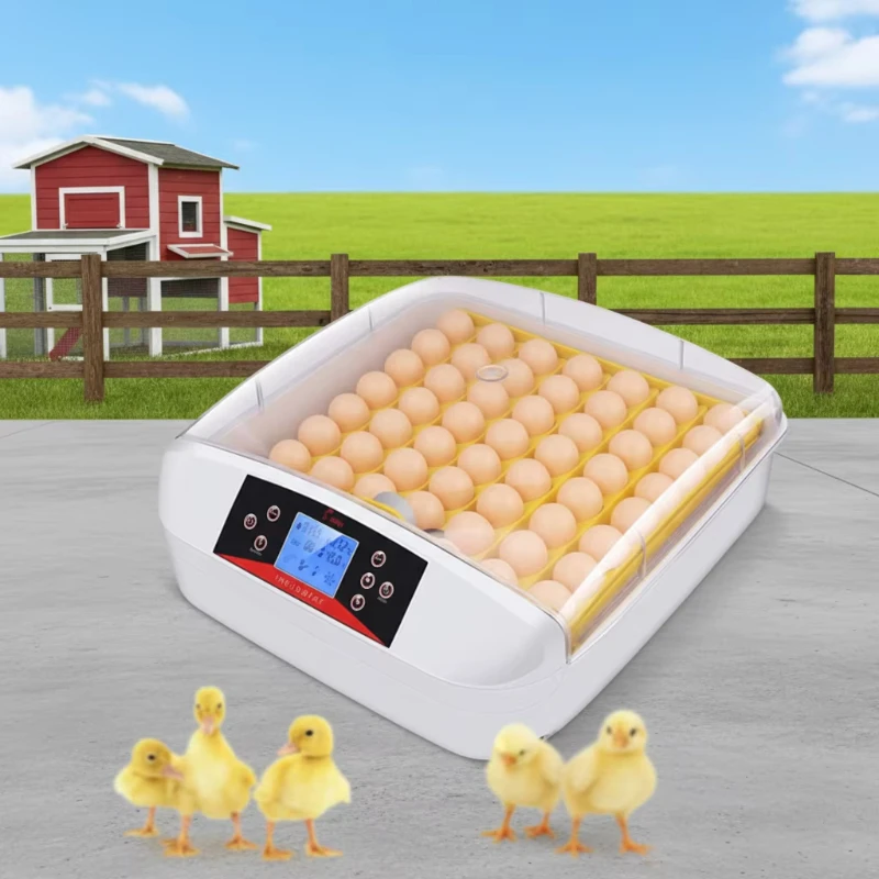 Mini Chicken Quail Parrot Egg Incubator Automatic 50 Egg Incubator