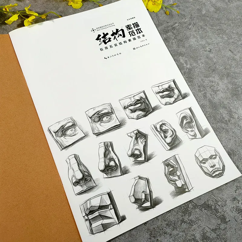 Sketching Plaster Facial Features: A Structured Model Book、Beginner Tutorial: Drawing & Sketching、Beginner's Guide