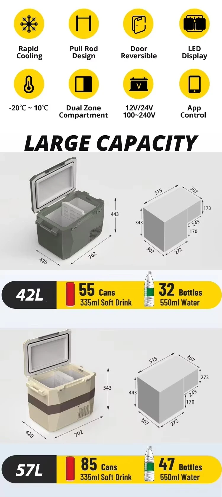 Technologie avancée réfrigération Mobile 42L réfrigérateurs de Camping réfrigérateur Portable 12V 220V refroidisseur de voiture