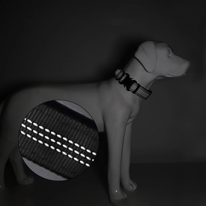 Thumbnail 4 - #15 Puppy Training Collars Comparison Guide