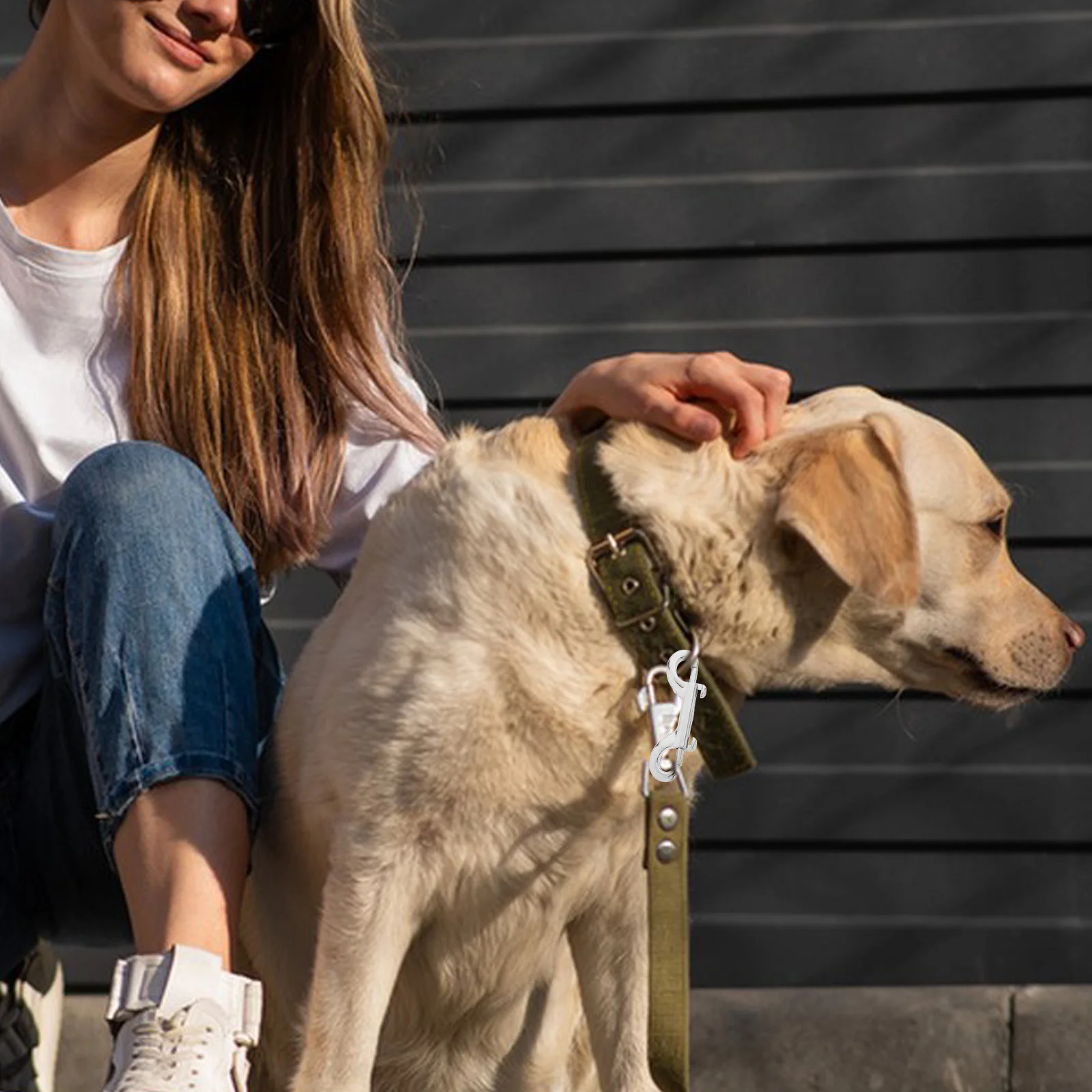 

6pcs Stainless Steel Double Ended Dog Leash 89Mm Zinc Alloy Snap Hook 360° Rotating Diving Buckle For Walking Training