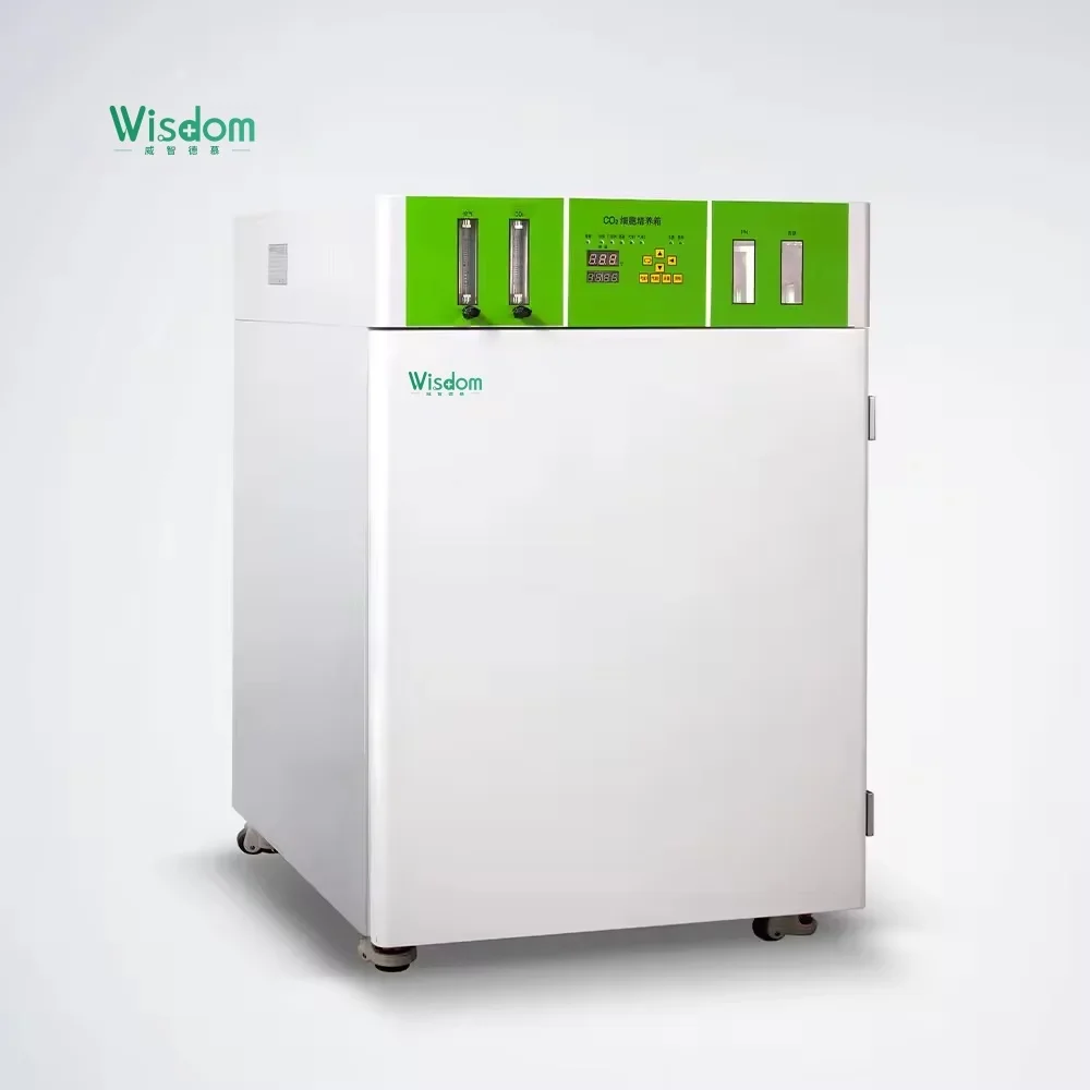 

Маленький инкубатор CO2 WISDOM для клеточных культур — лабораторное оборудование с отличной долговечностью и доступной ценой