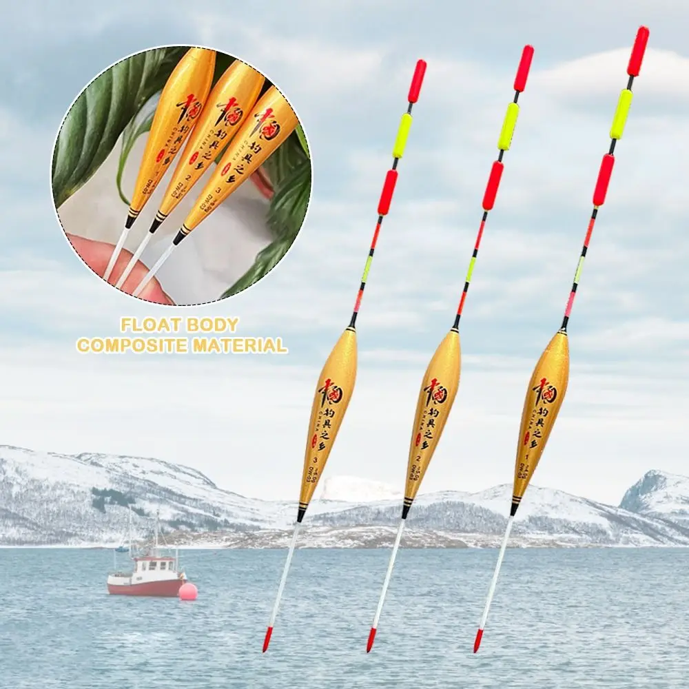 Fashion Bold Large …