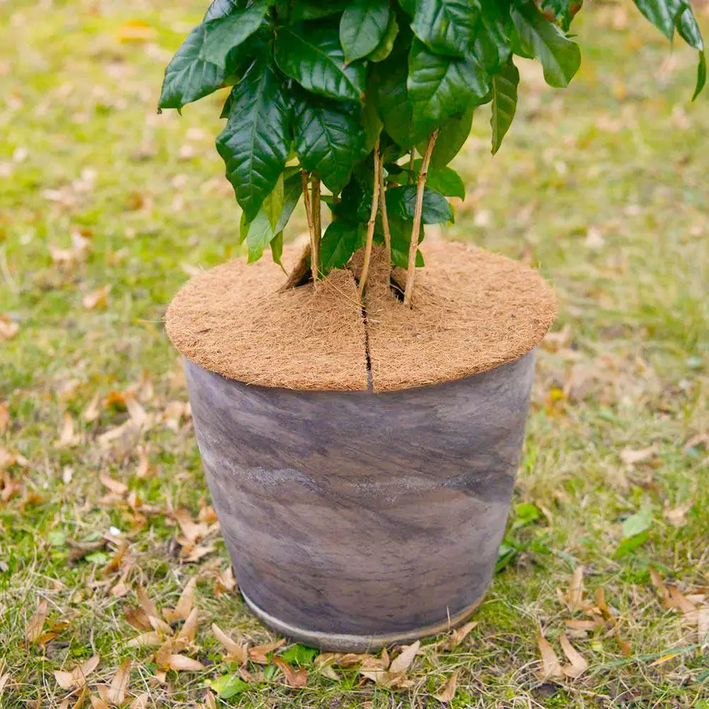 5pcs Plant Protectors Coconut Palm Gasket Liner Mulch Mat Tree Ring Mats 30CM Coir Fiber Anti grass breathable tree barrier mat