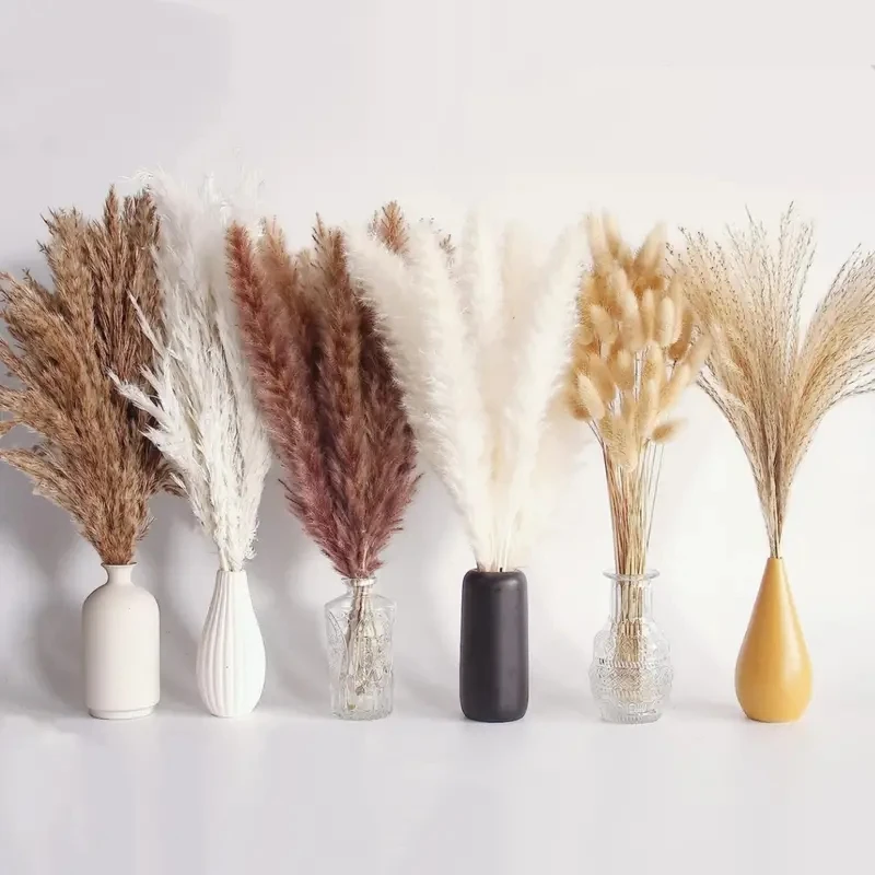 

60PCS Natural Fluffy Pampas Grass Phragmites Rabbit tail Grass Bouquet Boho Style Home Office Flower Arrangement Vase Decoration
