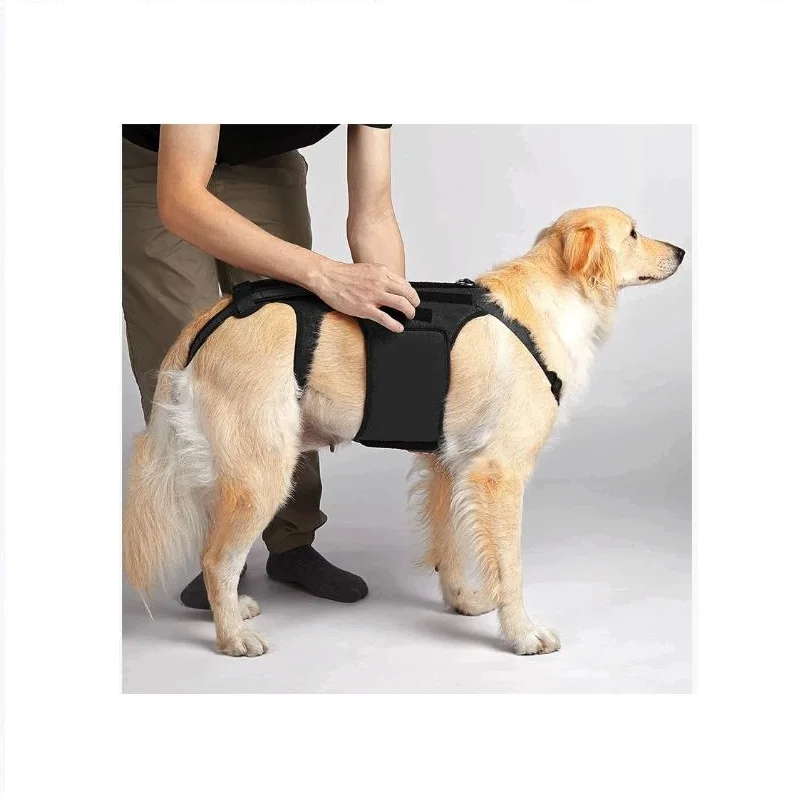 سترة الحيوانات الأليفة معلقة طوق الرقبة مع دعامة دعم الصدر والظهر، مقاسات M/L، إكسسوارات رياضية.