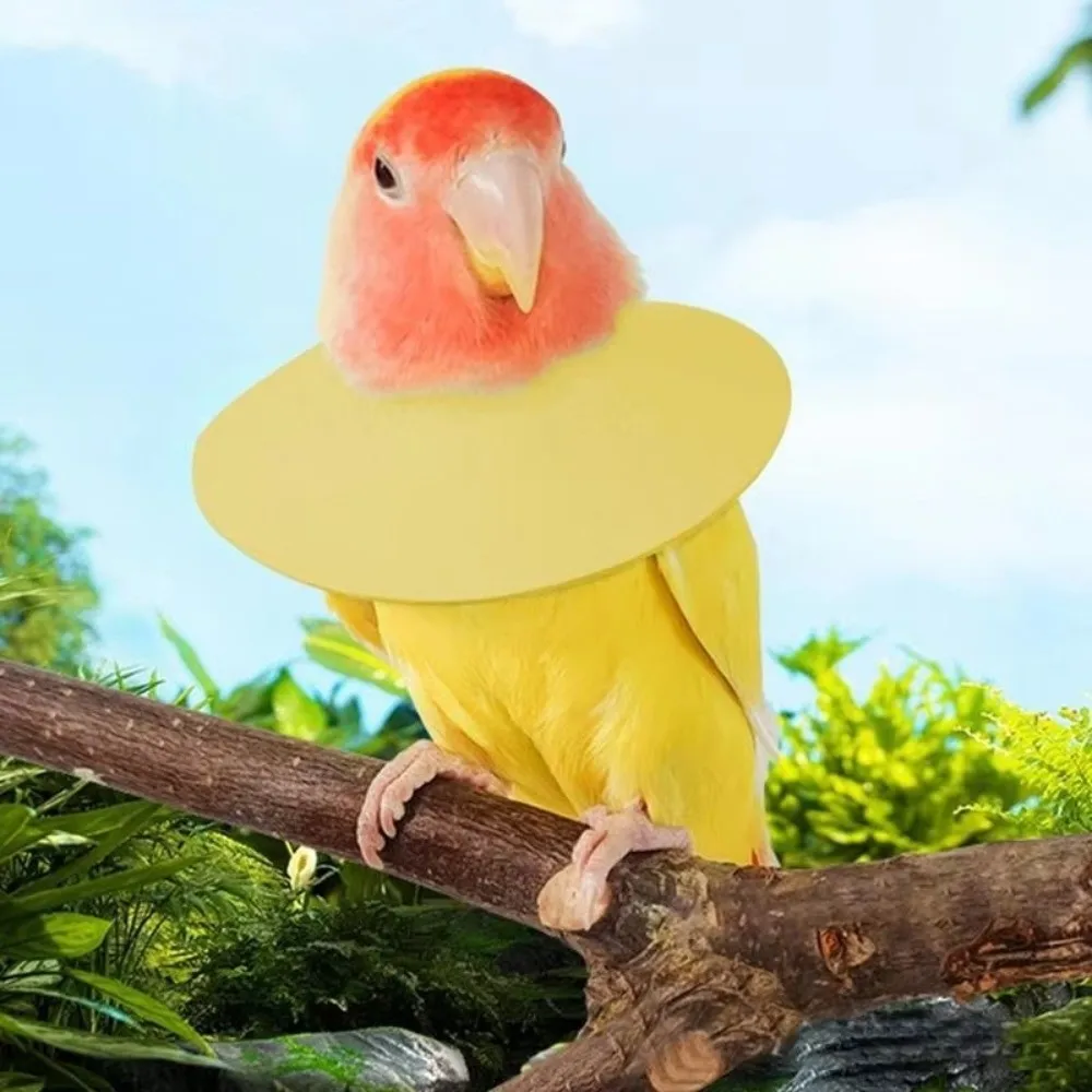 Anti Bite Bird Elizabethan Collar Soft Breathable Protective Cone Collar Neck Wearing Comfortable Fit Pet Elizabethan Collar