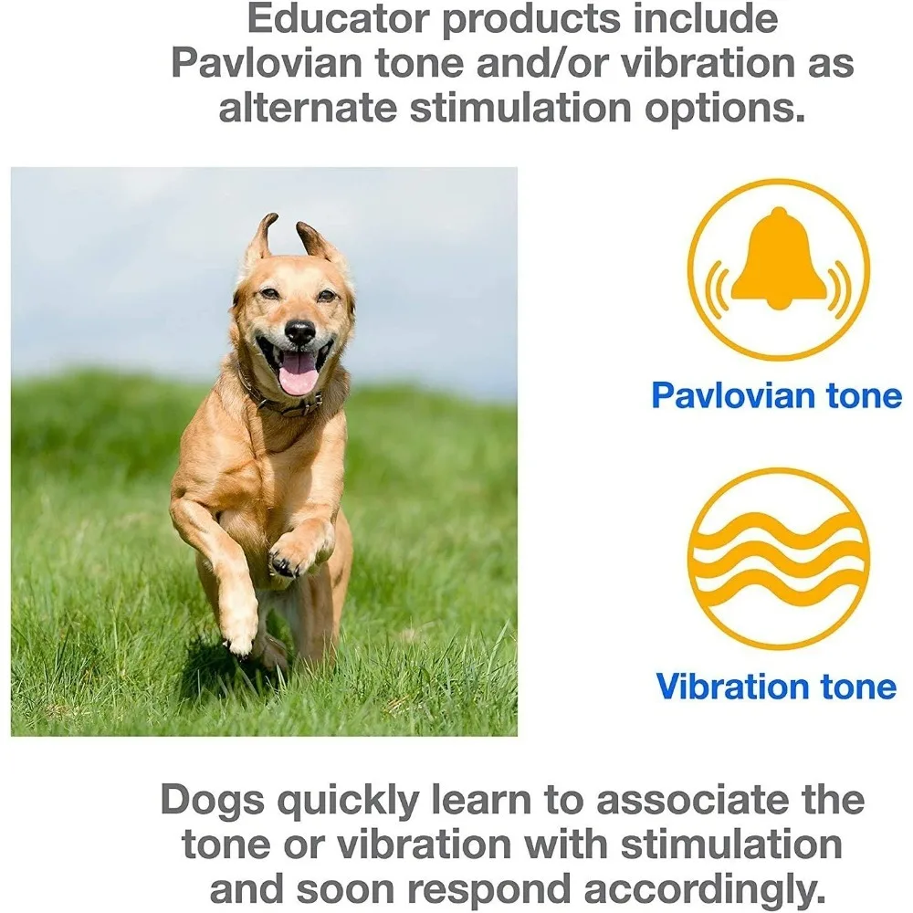 Mini Educator Dog Training Collar System with Remote - 1/2 Mile Range - Waterproof, Vibration, Sensation - Includes  Pet Towel