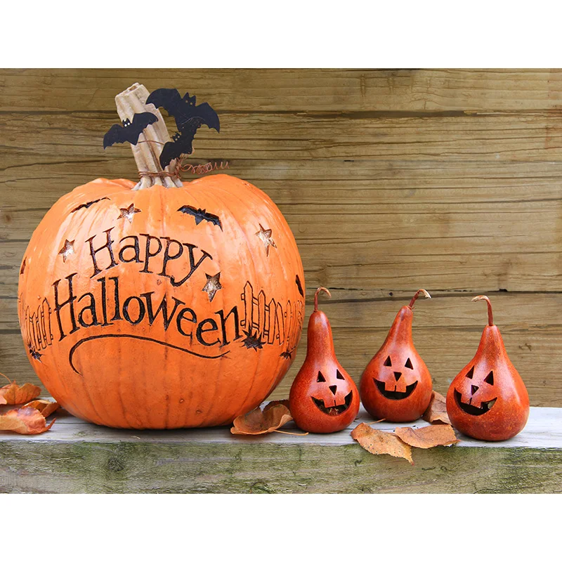 Halloween Photography Backgrounds Castle Gate Ghost Pumpkin Photo Backdrops For Studio Props Decor WSJ-02