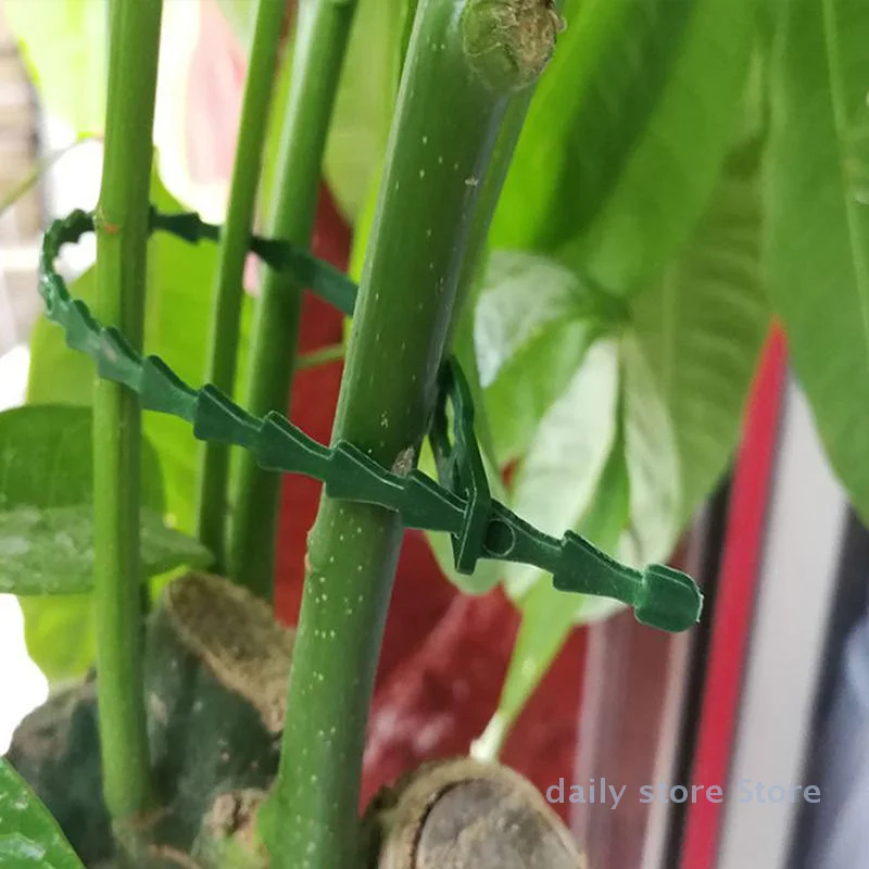 

Reusable Garden Cable Ties Plant Vine Tree Shrubs Support Fastener Locking Nylon Adjustable Zipper Cables Ties Organizer Tools