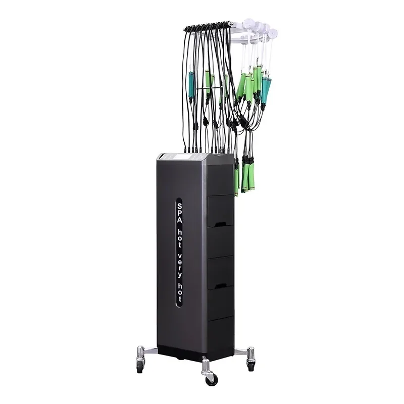 Dual-core constant temperature digital hair perm/ironing machine, intelligent hair salon hair clipper, 24V. (Hairdresser)