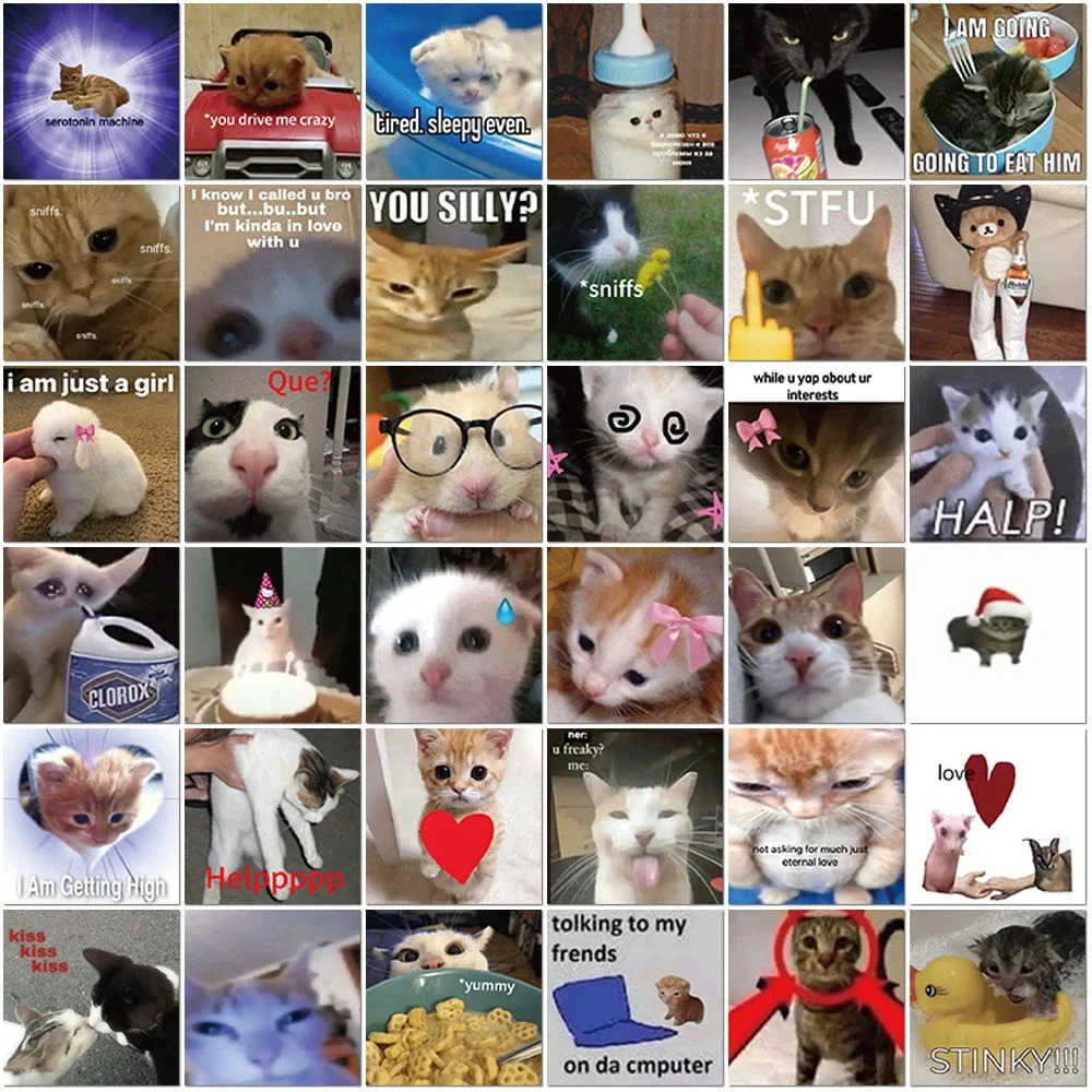 

62Pcs/set Funny Cat Meme Stickers Cartoon Creative Decals Stationery Guitar Phone Laptop Luggage Car Decoration Toys Sticker