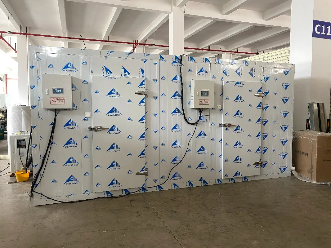 Two Temperature Cold Storage Walk in Cooler Walk in Freezer Cold Room for Meat Fish Fruits Vegetables