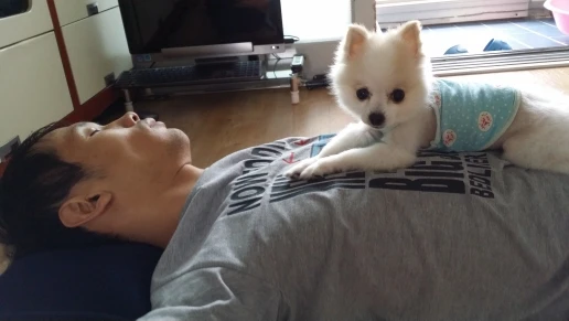 구매후기