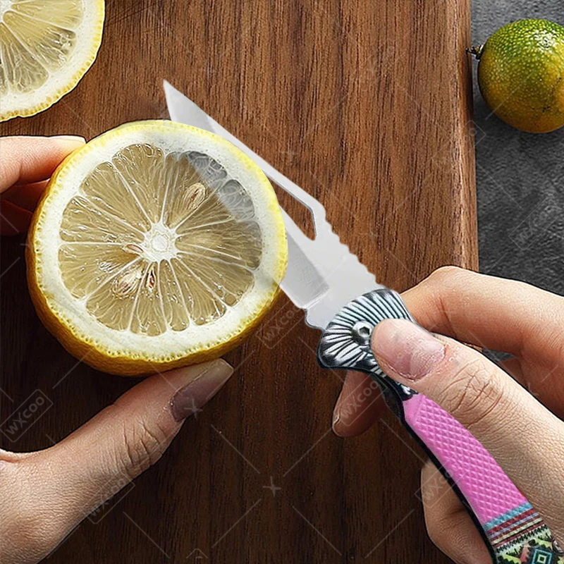 WXCOO Folding Knife Stainless Steel Cooking Kitchen Vegetable Knife Accessories Fruit Peeler Meat Cleaver Pocket Knife Kitchen - view 3