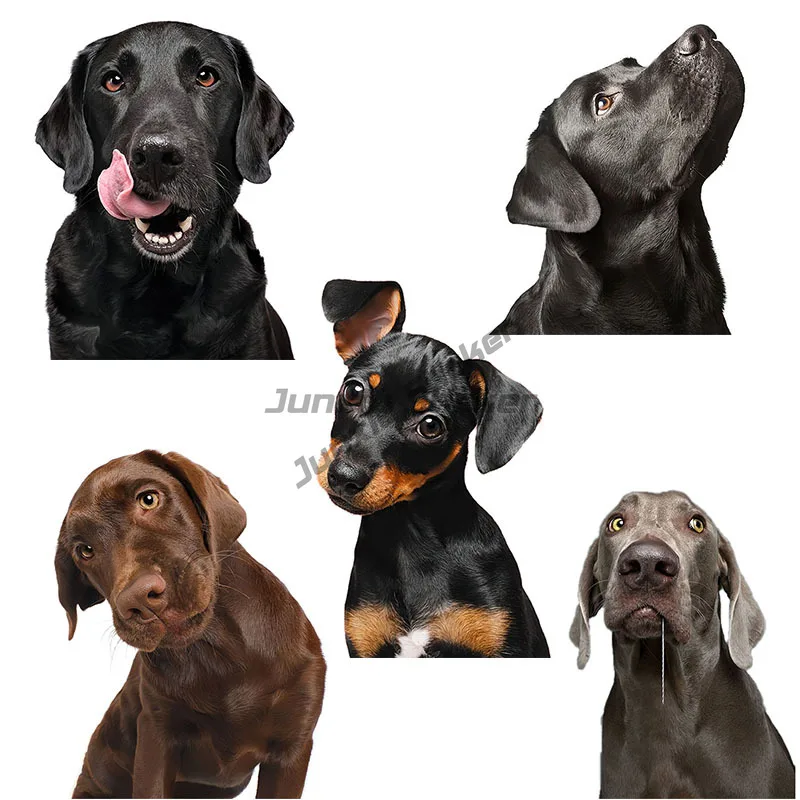 

Funny Labrador Retriever and Doberman Pinscher sticker home decoration Refrigerator Decal laptop toilet