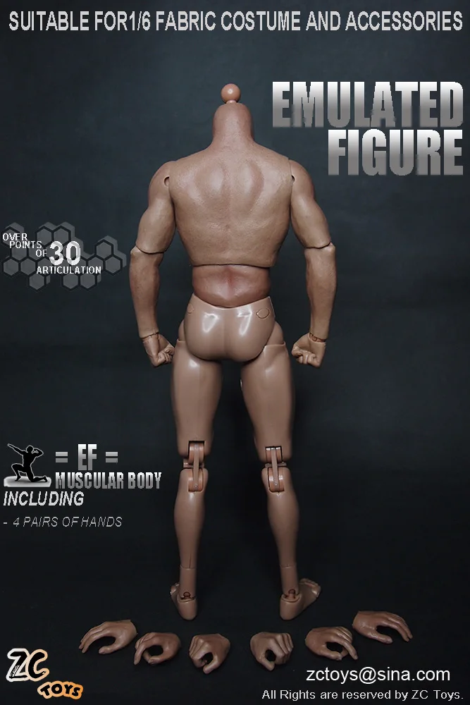 ZCtoys-Action Figure Boneca Brinquedos, Modelo Muscular Masculino Corpo, 12 ", S001, 1:6