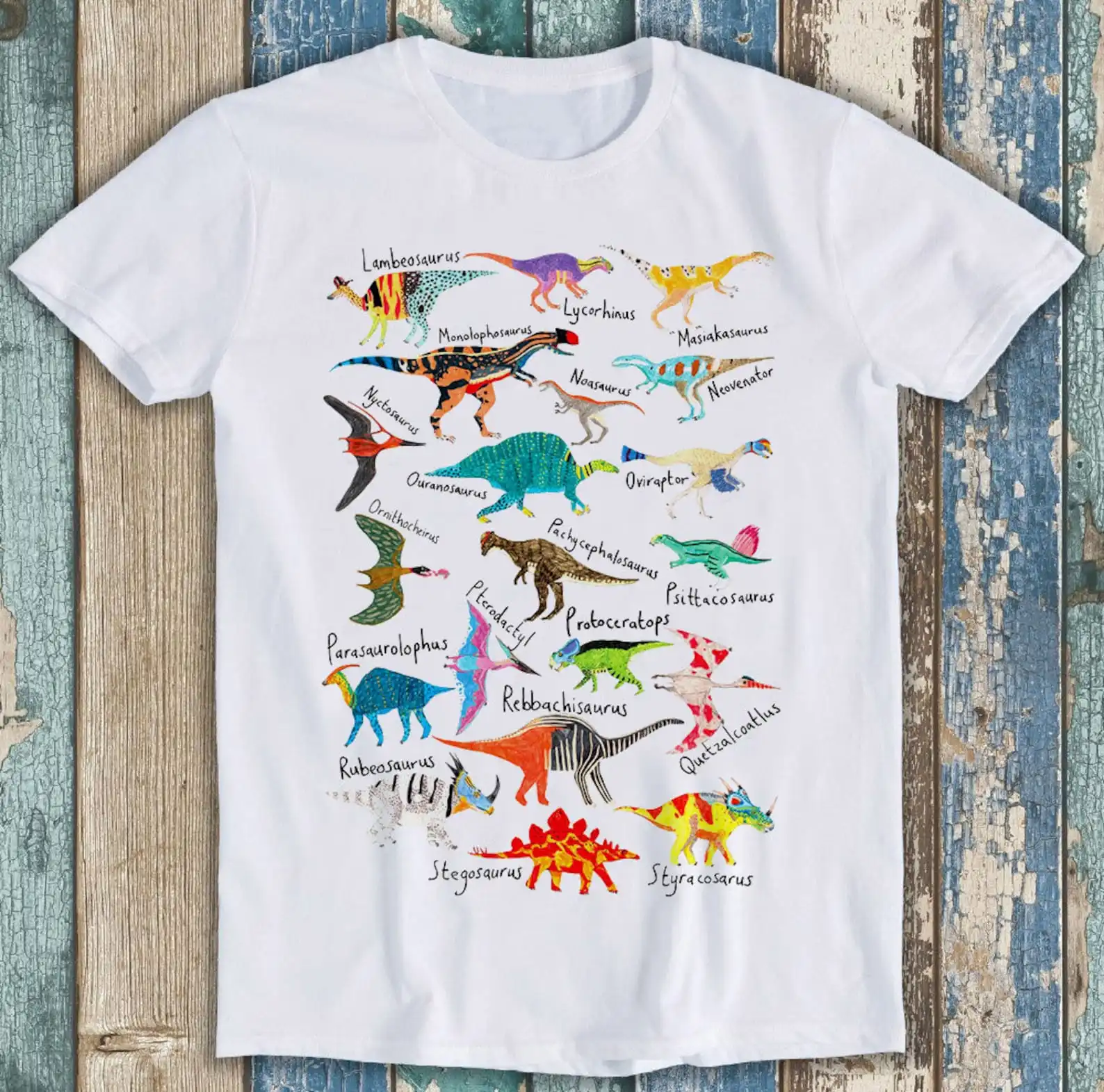 Dinosaurs Names And Pictures Funny Gift Novelty Cool Tee T Shirt