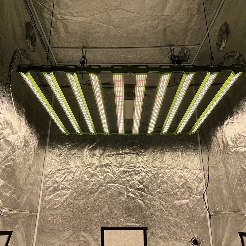 أحدث 2024 KingBrite 1000W LM301H EVO مع شريط إضاءة LED كامل الطيف لـ Osr 660nm 730nm