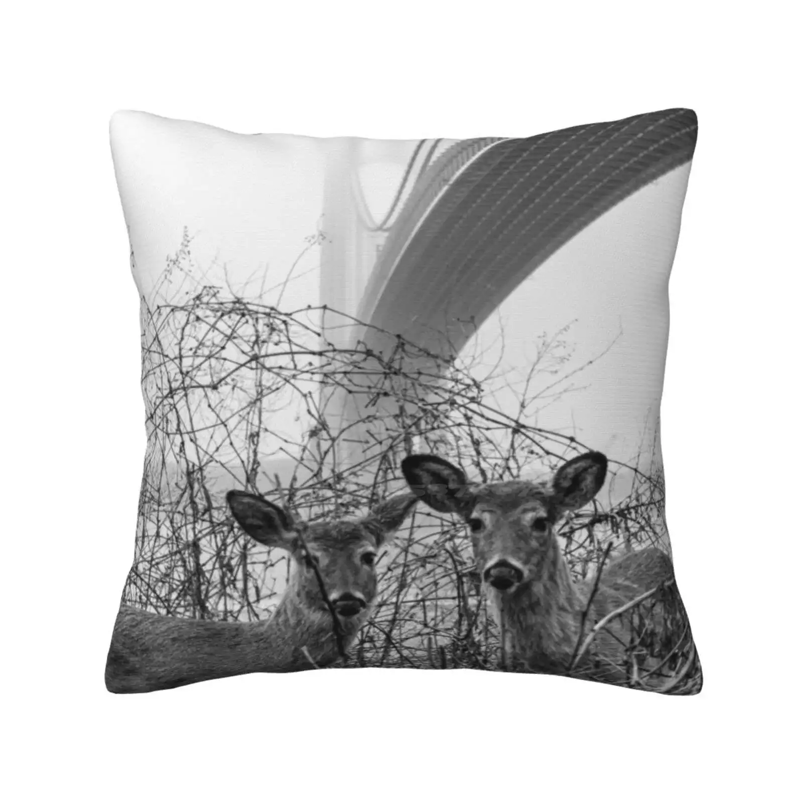 Deer Bedroom Office Hug Pillowcase Deer Doe Verrazano Bridge Staten Island Brooklyn New York Black And White Under The Bridge