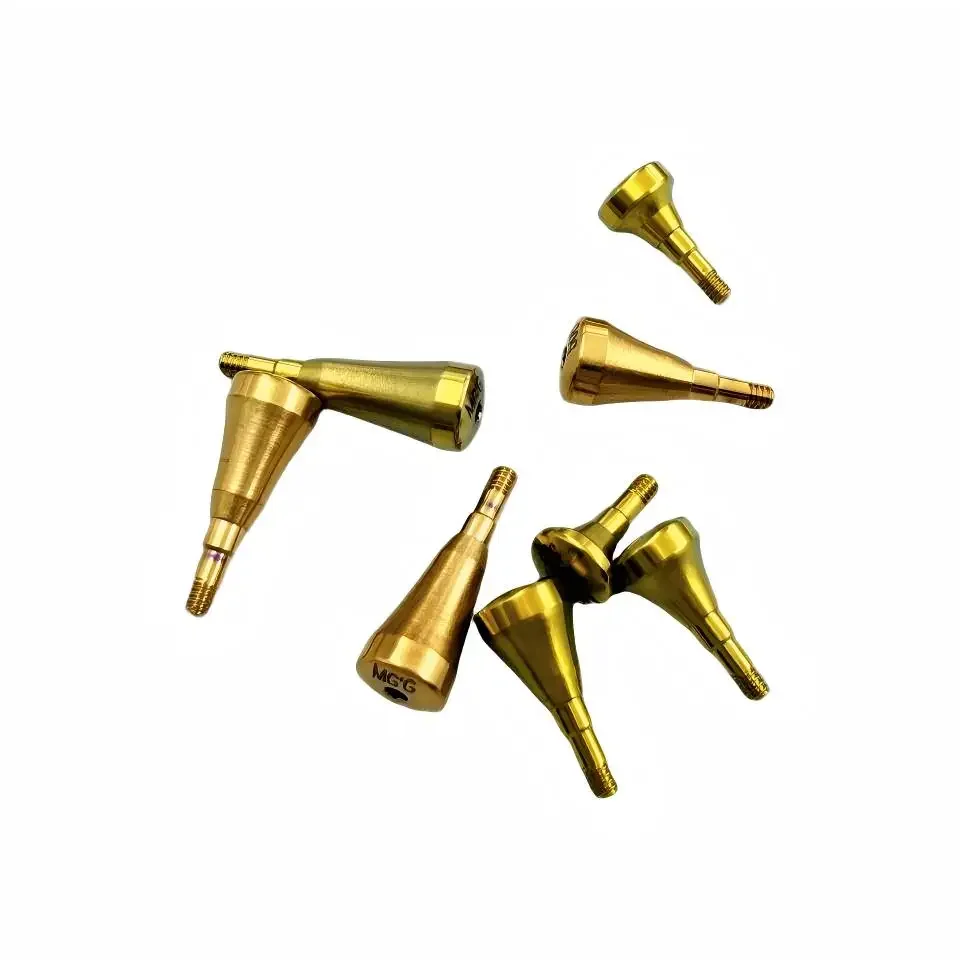 10Pcs Dental Healing Abutment Set Grade 5 Titanium Parts Compatible for Megagen BlueDiamond Implant System Clinic Lab Supply