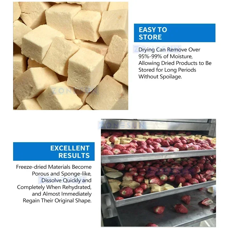 Zonesun آلة تجميد الفراغ الجاف مجفف التجميد الصناعي آلة تجميد المواد الغذائية المجففة ZS-FD650