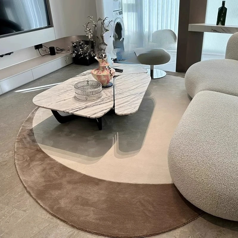Modern Irregular Plush Rug 2