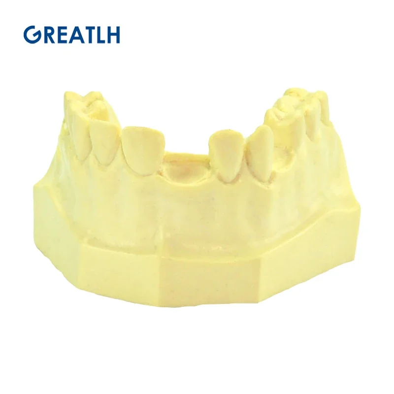 Dental Maxillary Sinus Lifting Exercise Model Dental Implant Practice Model for Practice Teaching Dental Instrument