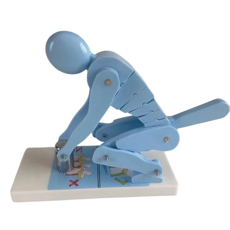 T22C Back Support Spine Alignment Trainer Lumbar Protection Model Correct Weight Posture Demo For Health Education