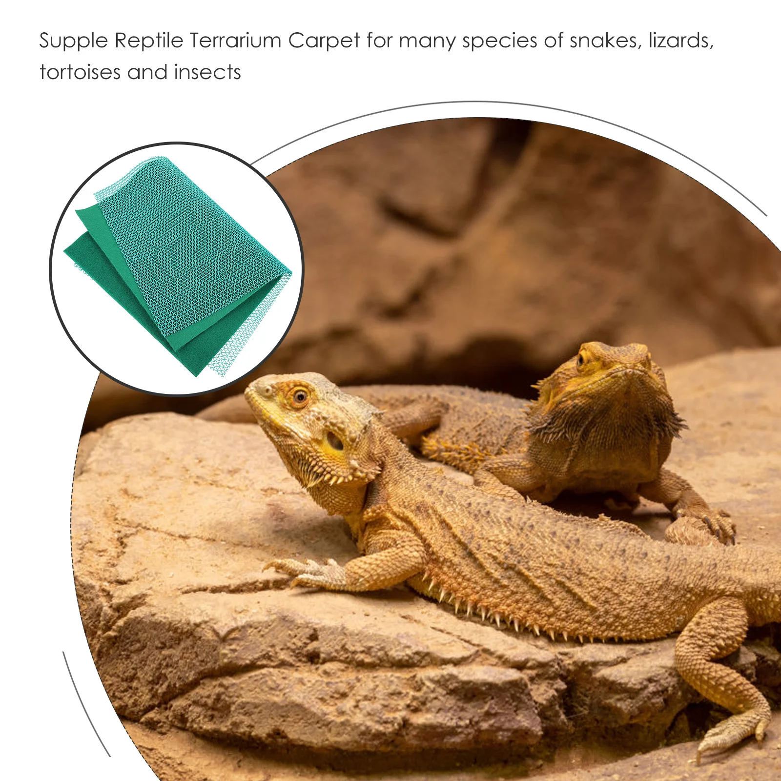 

Pet Reptile Terrarium Bedding Coconut Fiber Plastic Material Turtle Carpet Portable Snake Mat Pad Wear Resist Waterproof