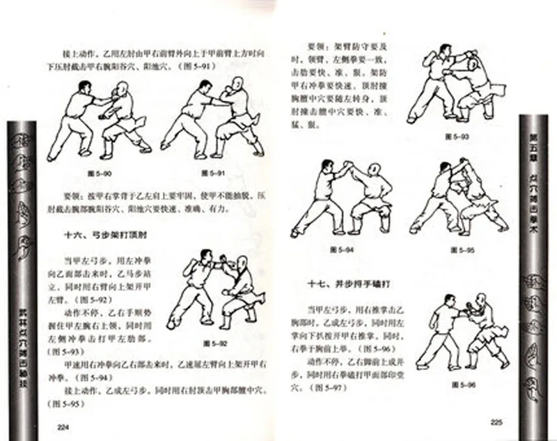 Book of Kung Fu Martial Art Attack a Vital Point Boxing with Pictures in Chinese